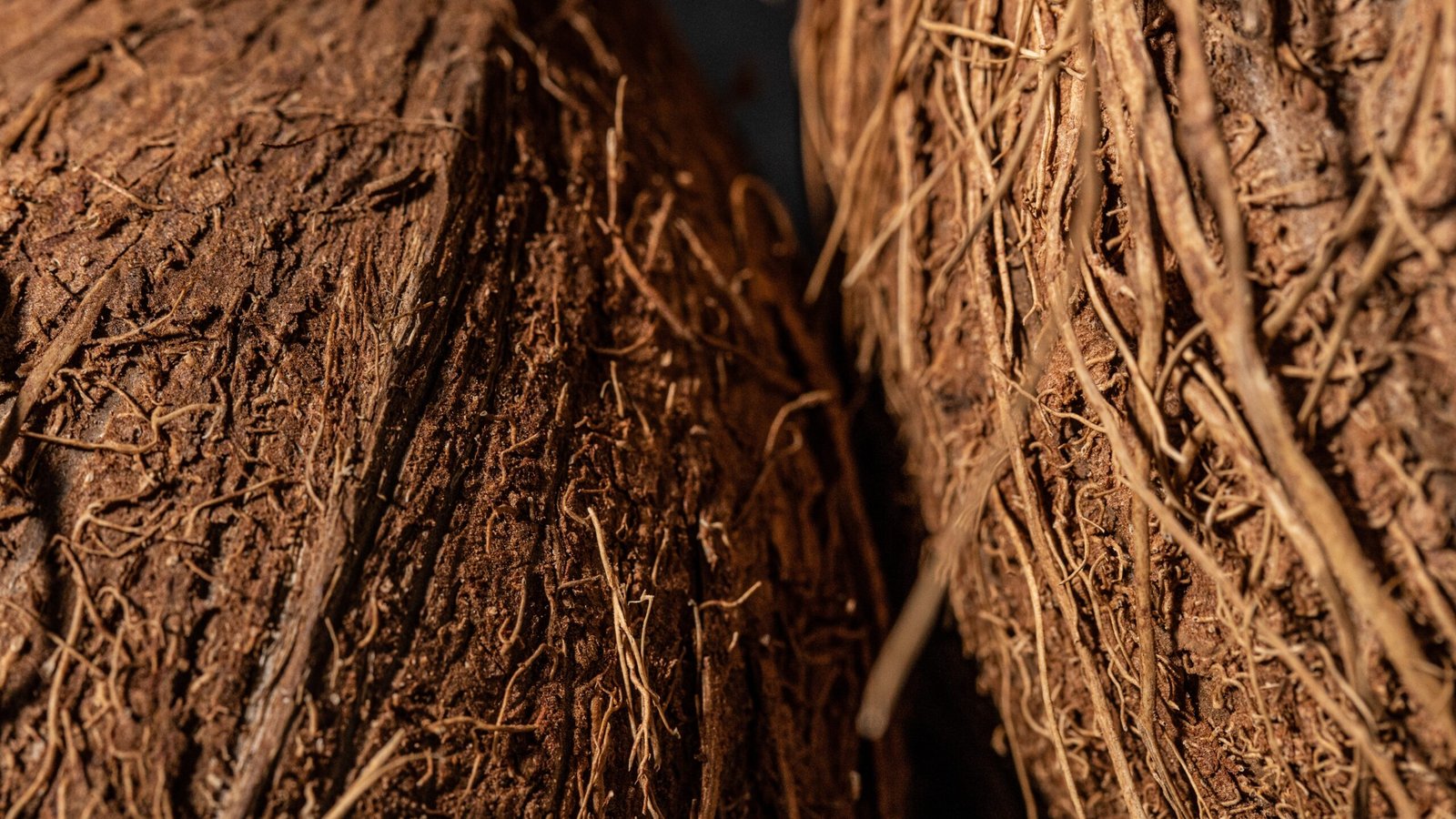 pexels-mikhail-nilov-7675955